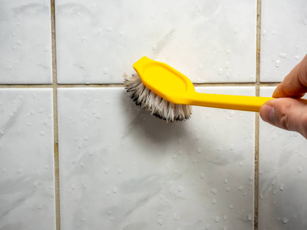 Best Local Mold Removal Service  in Whitestown, IN