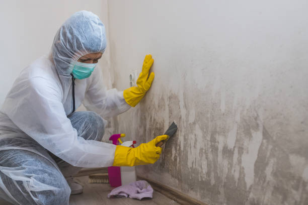 Water Damage Restoration in Whitestown, IN