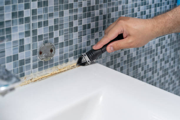 Best Certified Mold Removal  in Whitestown, IN